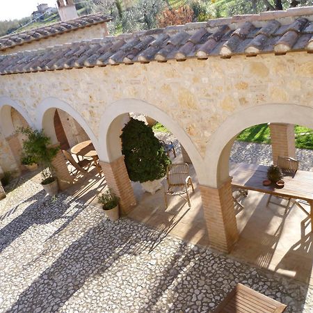 Agriturismo Poggio Della Rosa 阿米里亚 外观 照片