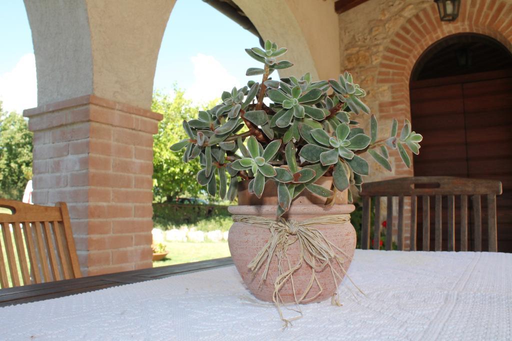 Agriturismo Poggio Della Rosa 阿米里亚 外观 照片