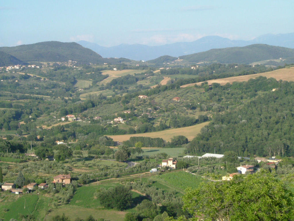 Agriturismo Poggio Della Rosa 阿米里亚 外观 照片